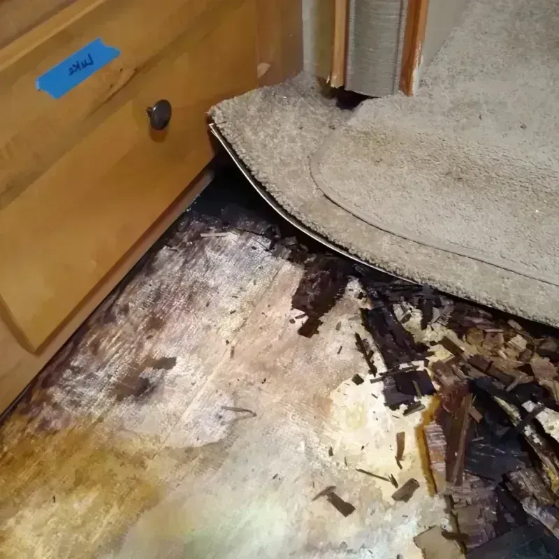 Best Wood Floor Water Damage Service in Hobe Sound, FL